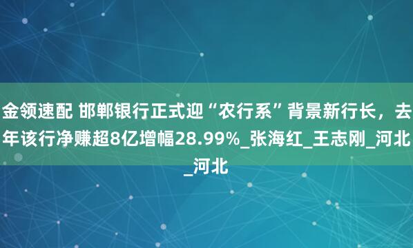 金领速配 邯郸银行正式迎“农行系”背景新行长，去年该行净赚超8亿增幅28.99%_张海红_王志刚_河北