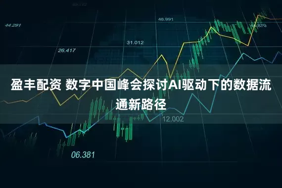 盈丰配资 数字中国峰会探讨AI驱动下的数据流通新路径