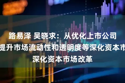 路易泽 吴晓求：从优化上市公司结构、提升市场流动性和透明度等深化资本市场改革